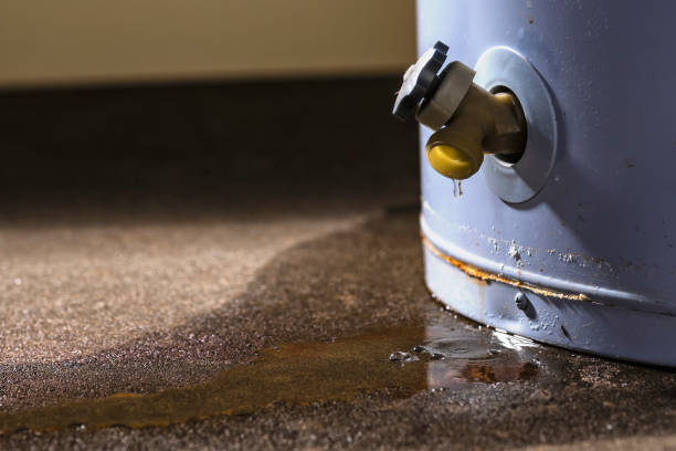 Best Professional water damage repair  in Gasport, NY
