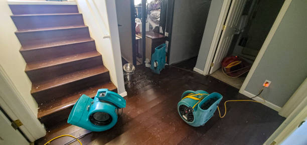 Best Water damage cleanup near me  in Gasport, NY