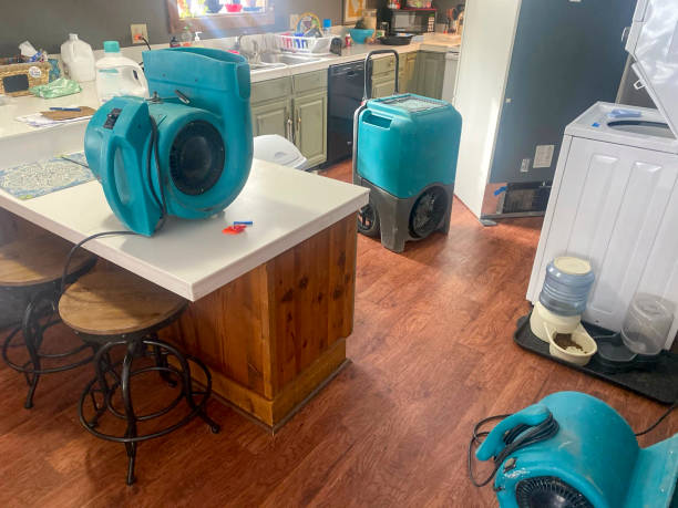 Best 24-hour water damage restoration  in Gasport, NY