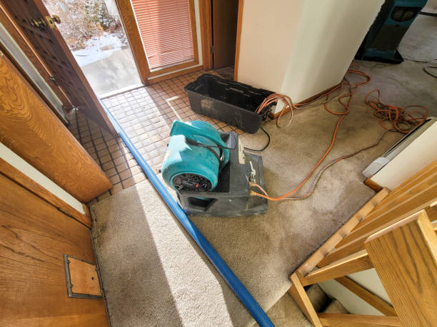 Best Flood restoration services  in Gasport, NY