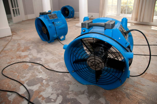 Best 24/7 water damage repair  in Gasport, NY