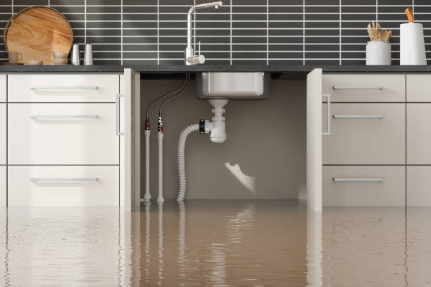 Best Sewage cleanup and water damage restoration  in Gasport, NY