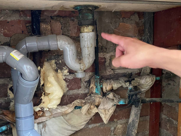 Best Water damage restoration near me  in Gasport, NY